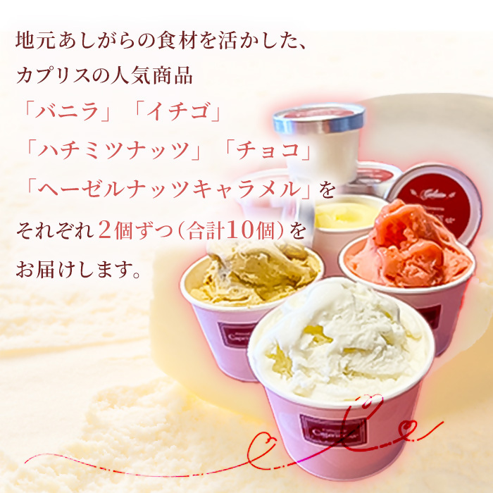 洋菓子屋がつくったデザート系ジェラート（10個：5種類×2個） ※バニラ・イチゴ・ハチミツナッツ・チョコ・ヘーゼルナッツキャラメル それぞれ2個ずつ【 デザート アイス 神奈川県 南足柄市 】