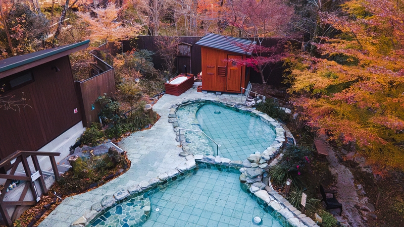 おんりーゆー 日帰り入浴ご招待券 50枚セット【温泉 サウナ お風呂 結婚記念日 敬老の日 ギフト プレゼント 利用券 神奈川県 南足柄市 】