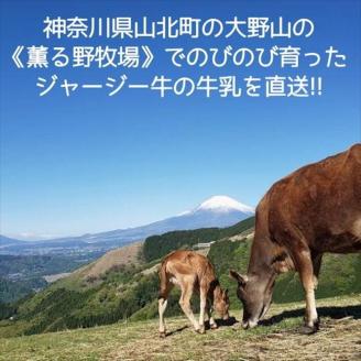 薫る野プリン プレミアムチョコプリン 6個 【 プリン スイーツ お菓子 神奈川県 南足柄市 】