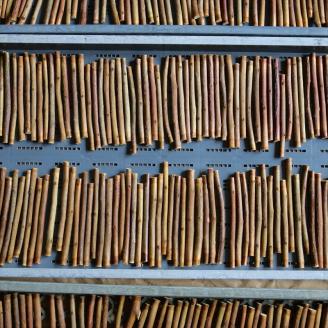 【定期便6ヵ月】足柄産ブルーベリーのかじり木100g×6回＜毎月お届け＞【 ペット 神奈川県 南足柄市 】