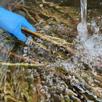 【定期便6ヵ月】足柄産ブルーベリーのかじり木100g＆まつが農園のジャム×6回＜毎月お届け＞【 ペット 神奈川県 南足柄市 】