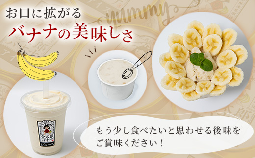 定期便：金太郎バナナアイス（24個）：8個×3回（毎月お届け） 毎栽培期間中農薬不使用 【国産 ギフト プレゼント 贈り物 お返し おいしい 果物 くだもの フルーツ お歳暮 お中元 】