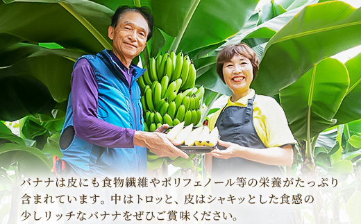 定期便：スペシャル 金太郎バナナ（15本）  5本×3回（毎月お届け） 栽培期間中農薬不使用 【国産 ギフト プレゼント 贈り物 お返し おいしい 金太郎バナナ 果物 くだもの フルーツ お歳暮 お中元 】