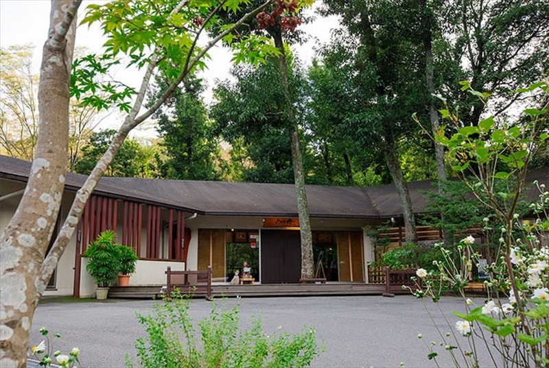 平日限定 おんりーゆー 1泊2食付きペアご宿泊券【大雄】【温泉 サウナ 宿泊 おんりーゆー 1泊2食付きペアご宿泊券 大雄 広葉樹林に囲まれ森林浴を楽しみながらゆっくりと長湯を楽しめる 神奈川県 南足柄市 】