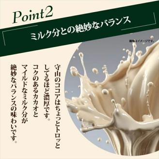 【定期便６ケ月】守山乳業 ＭＯＲＩＹＡＭＡ　喫茶店の味　ココア　１０００ｇ×６本