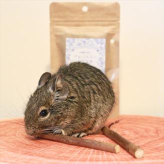 【定期便6ヵ月】足柄産ブルーベリーのかじり木200g×6回＜毎月お届け＞【 ペット 神奈川県 南足柄市 】