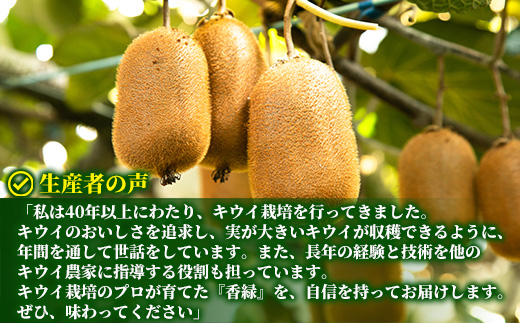 希少キウイフルーツ 「香緑」。Lサイズ 24個入り 糖度16度。甘くておいしい【 高級ブランド】【キウイ　フルーツ 神奈川県 南足柄市 】