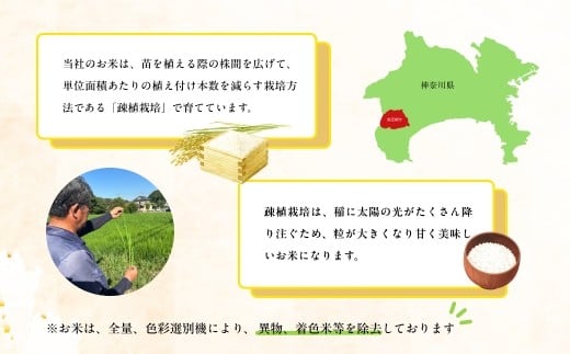 令和7年 新米 南足柄産のブランド米「はるみ(精米)」 5kg×4袋 計20kg＜出荷時期：2025年10月末頃より順次出荷予定＞【 新米 新米予約 7年産 お米 神奈川県 南足柄市 】