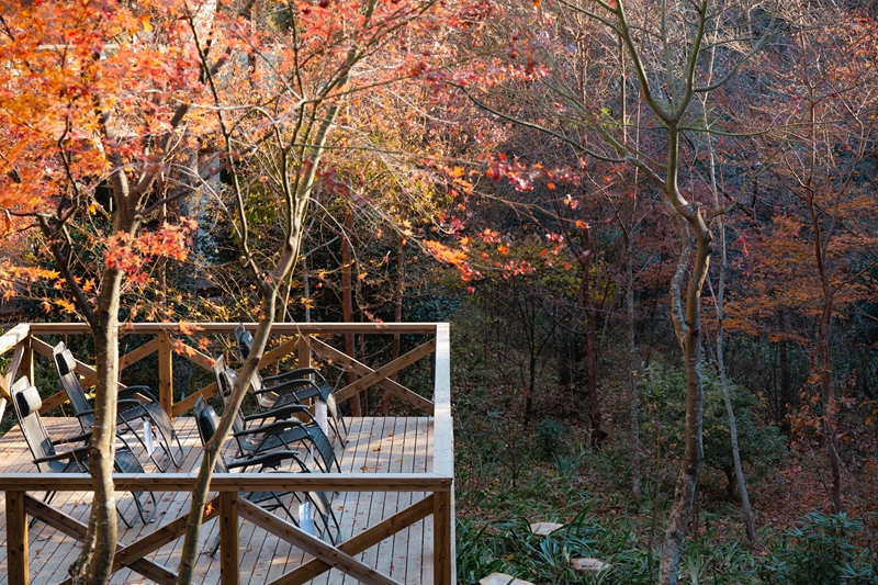 おんりーゆー 年間パスポート【温泉 サウナ お風呂 結婚記念日 敬老の日 ギフト プレゼント 利用券 神奈川県 南足柄市 】