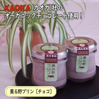 薫る野プリン プレミアムチョコプリン 6個 【 プリン スイーツ お菓子 神奈川県 南足柄市 】