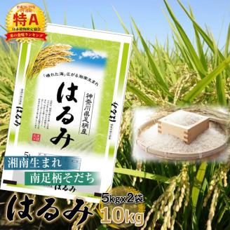 【令和7年産】湘南生まれ 南足柄育ちのお米「はるみ」(精米)10kg(5kg×2袋)【 神奈川県 南足柄市 】