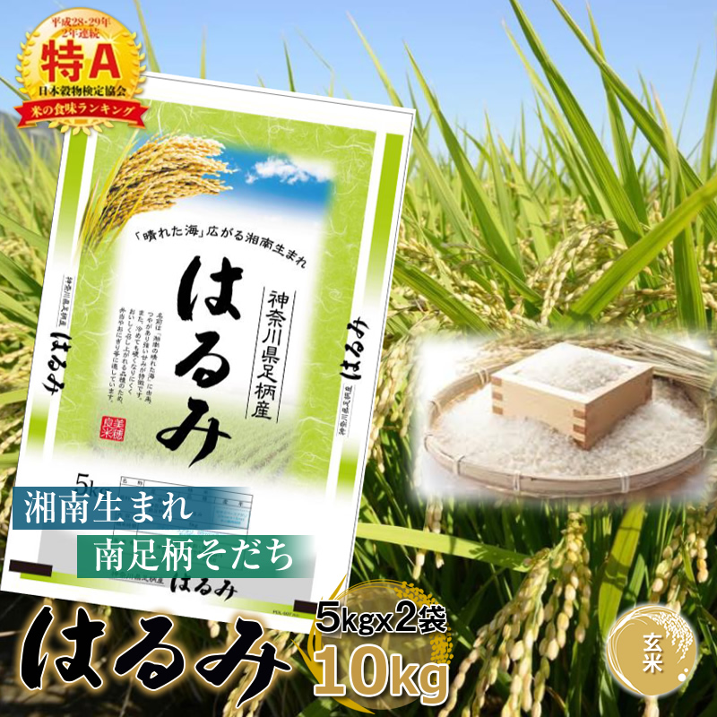 【令和7年産】湘南生まれ南足柄育ちのブランド米「はるみ」(玄米) 10kg 創業100年の米屋がお届け【特A ギフト プレゼント 贈り物 返礼 御礼 おいしい 】【 ごはん おいしい 神奈川県 南足柄市 】