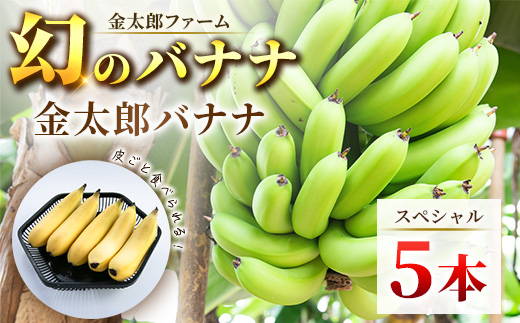 南足柄産国産バナナ スペシャル(栽培期間中農薬不使用）5本セット