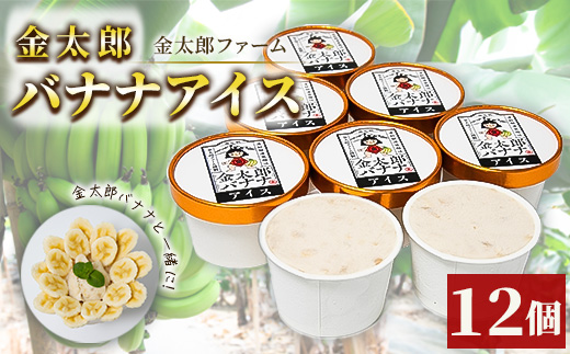 金太郎バナナアイス（12個） 栽培期間中農薬不使用 【国産 ギフト プレゼント 贈り物 お返し おいしい 果物 くだもの フルーツ お歳暮 お中元 】