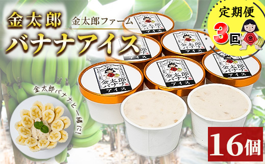 定期便：金太郎バナナアイス（48個）：16個×3回（毎月お届け） 栽培期間中農薬不使用 【国産 ギフト プレゼント 贈り物 お返し おいしい 果物 くだもの フルーツ お歳暮 お中元 】