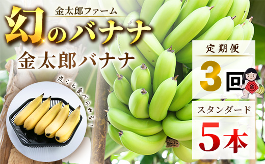 定期便：スタンダード 金太郎バナナ（15本）  5本×3回（毎月お届け） 栽培期間中農薬不使用 【国産 ギフト プレゼント 贈り物 お返し おいしい 金太郎バナナ 果物 くだもの フルーツ お歳暮 お中元 】