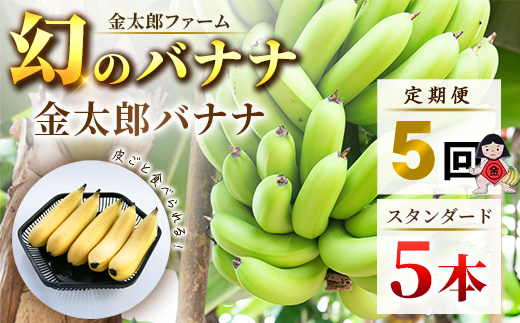 定期便：スタンダード 金太郎バナナ（25本）  5本×5回（毎月お届け） 栽培期間中農薬不使用 【国産 ギフト プレゼント 贈り物 お返し おいしい 金太郎バナナ 果物 くだもの フルーツ お歳暮 お中元 】