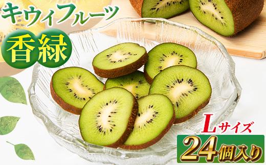 希少キウイフルーツ 「香緑」。Lサイズ 24個入り 糖度16度。甘くておいしい【 高級ブランド】【キウイ　フルーツ 神奈川県 南足柄市 】