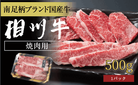 相州牛 焼肉・網焼き用カルビ　500g（厚切り）