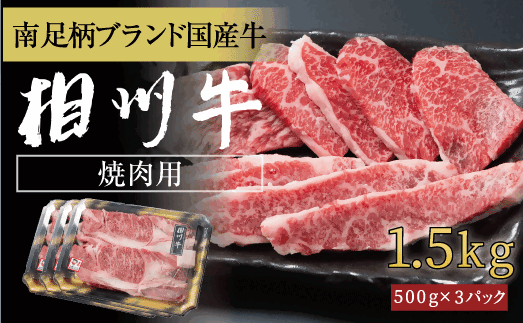 相州牛 焼肉・網焼き用カルビ　1.5kg（厚切り）