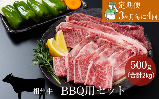 【定期便：3ヶ月毎に4回】相州牛（BBQ用セット）500g【合計２kg】