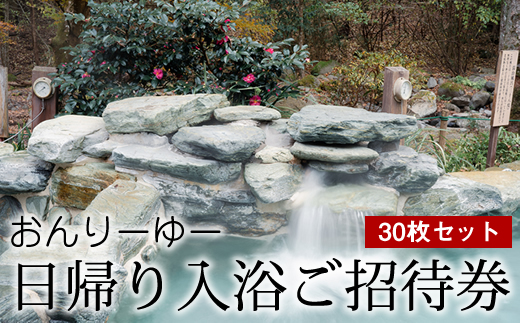 おんりーゆー 日帰り入浴ご招待券 30枚セット【温泉 サウナ お風呂 結婚記念日 敬老の日 ギフト プレゼント 利用券 神奈川県 南足柄市 】