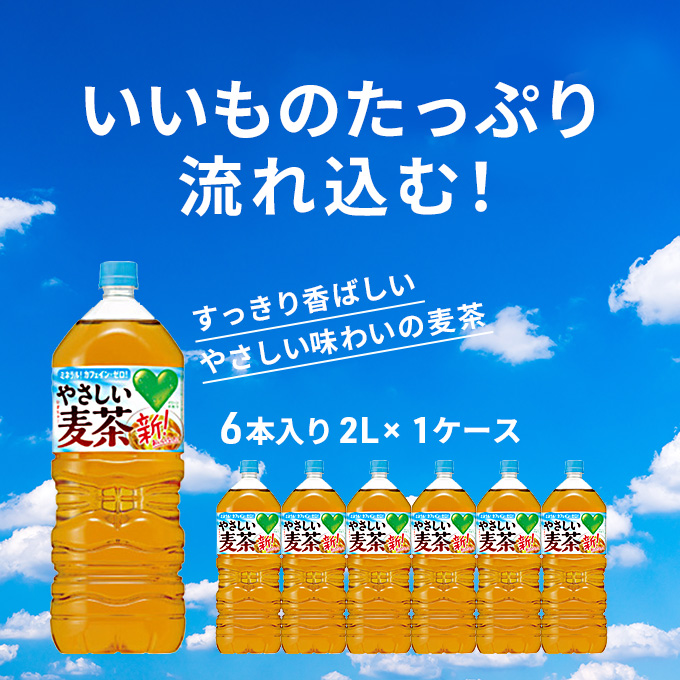 やさしい麦茶 2L 6本 セット 詰め合わせ お茶 サントリー GREEN DA・KA・RA 麦茶 グリーンダカラ カフェインゼロ ノンカフェイン ペットボトル 茶 飲み物 ドリンク 飲料 神奈川 神奈川県 綾瀬市