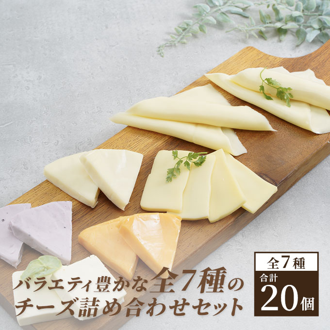 チーズ＆チーズケーキセット 定期便 3ヶ月 クラフトチーズ バラエティ 20個 セット