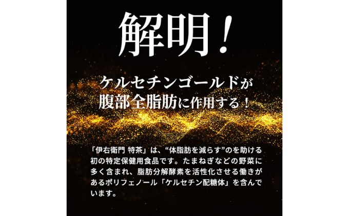 お茶 定期便 2ヶ月 伊右衛門 特茶 500ml × 24本 サントリー 特定保健用食品 トクホ 緑茶 ペットボトル 500 茶 日本茶 国産 トクホ茶 飲料 飲み物 ドリンク ペットボトル飲料 箱 ケース 脂肪 体脂肪 減らす 神奈川 神奈川県 綾瀬市 定期 2回　定期便