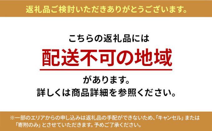 完熟プレミアムブルーベリー 約500g（約125gx4パック） 大粒 甘み 希少性 プレミアム ブルーベリー ハイブッシュ系 ブルーベリー 厳選 樹上完熟果