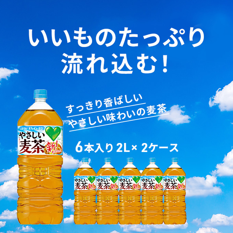 やさしい麦茶 2L 12本 (6本×2箱) セット 詰め合わせ お茶 サントリー GREEN DA・KA・RA 麦茶 グリーンダカラ カフェインゼロ ノンカフェイン ペットボトル 茶 飲み物 ドリンク 飲料 神奈川 神奈川県 綾瀬市