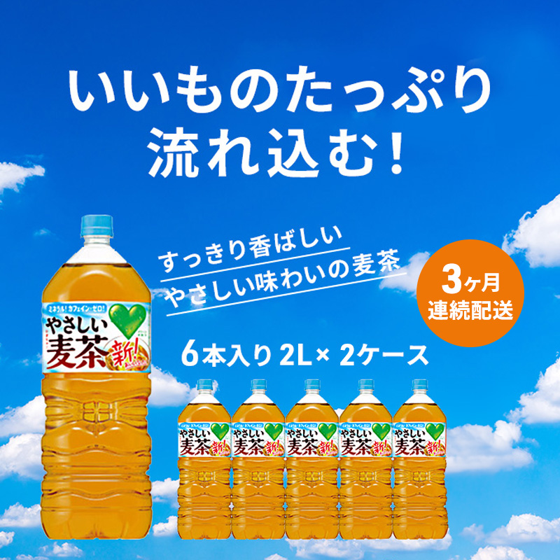 麦茶 定期便 3ヶ月 GREEN DA・KA・RA やさしい麦茶 2L × 12本(2ケース) サントリー ペットボトル 茶 お茶 飲料 飲み物 ドリンク 備蓄 常温 常温保存 カフェイン ゼロ カロリーゼロ 赤ちゃん 熱中症 熱中症対策 アレルギー DAKARA 定期 3回　定期便