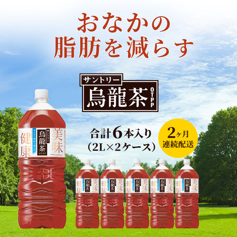 烏龍茶 定期便 2ヶ月 サントリー烏龍茶 OTPP 2L 12本 (6本×2箱) セット 詰め合わせ 機能性表示食品 お茶 サントリーウーロン茶 サントリー ペットボトル 中国茶 茶 脂肪を減らす 健康茶 健康 飲み物 ドリンク 飲料 神奈川 神奈川県 綾瀬市 定期 2回