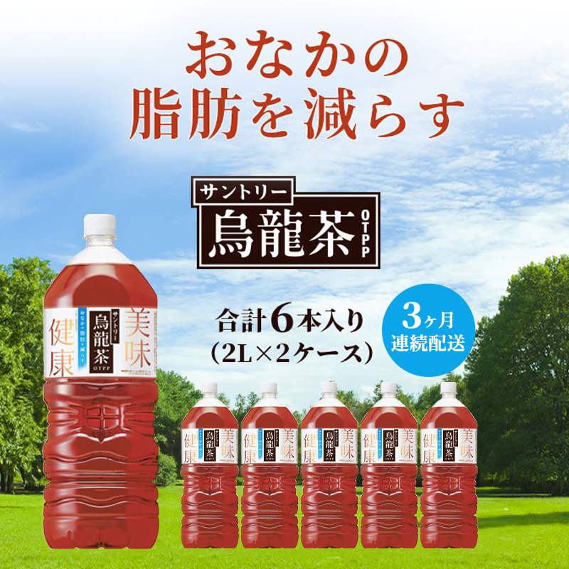 烏龍茶 定期便 3ヶ月 サントリー烏龍茶 OTPP 2L 12本 (6本×2箱) セット 詰め合わせ 機能性表示食品 お茶 サントリーウーロン茶 サントリー ペットボトル 中国茶 茶 脂肪を減らす 健康茶 健康 飲み物 ドリンク 飲料 神奈川 神奈川県 綾瀬市 定期 3回
