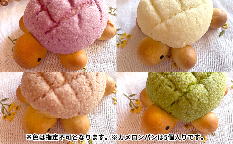 カメロンパン5個入り　おまかせパン セット【薬膳食パン入り】