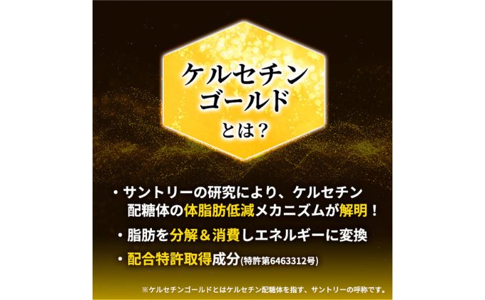 お茶 定期便 2ヶ月 伊右衛門 特茶 500ml × 24本 サントリー 特定保健用食品 トクホ 緑茶 ペットボトル 500 茶 日本茶 国産 トクホ茶 飲料 飲み物 ドリンク ペットボトル飲料 箱 ケース 脂肪 体脂肪 減らす 神奈川 神奈川県 綾瀬市 定期 2回　定期便
