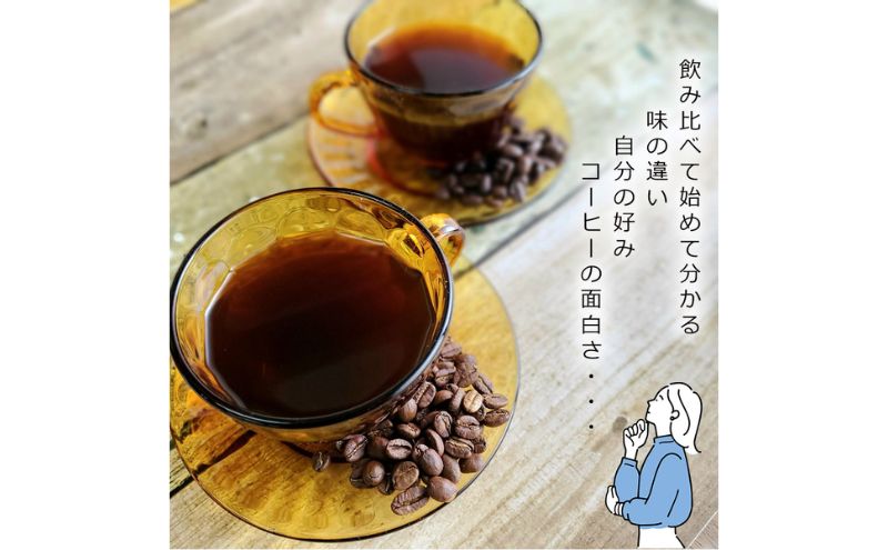 スペシャルティコーヒー　焙煎度合の違いを体感。飲み比べセット　100g×2袋（豆）the beans thebeans ザビーンズ
