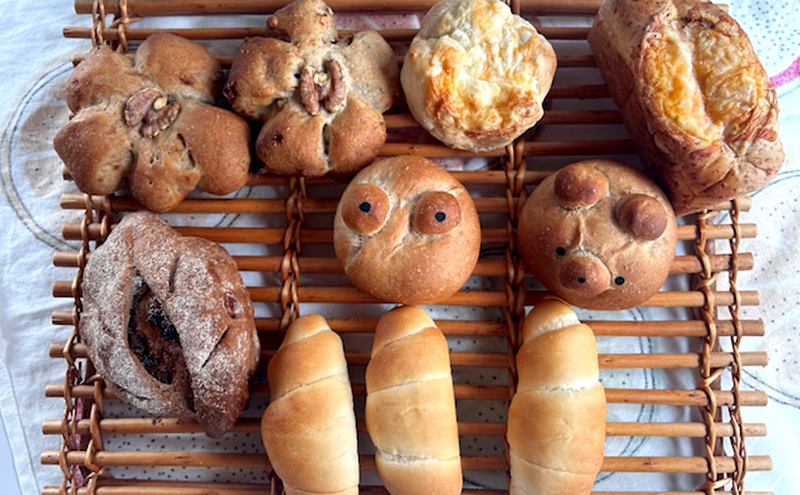 カメロンパン5個入り　おまかせパン セット【薬膳食パン入り】