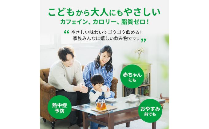 麦茶 定期便 3ヶ月 GREEN DA・KA・RA やさしい麦茶 2L × 6本 サントリー ペットボトル 茶 お茶 飲料 飲み物 ドリンク 備蓄 常温 常温保存 カフェイン ゼロ カロリーゼロ 大麦 赤ちゃん 熱中症 熱中症対策 アレルギー DAKARA 定期 3回　定期便