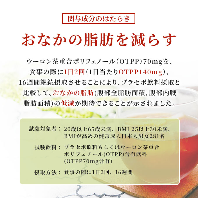 烏龍茶 定期便 3ヶ月 烏龍茶OTPP 2L × 6本 サントリー 機能性表示食品 お茶 ペットボトル 茶 飲料 飲み物 ドリンク ペットボトル飲料 箱 ケース 備蓄 ウーロン茶 脂肪 ポリフェノール 常温 常温保存 神奈川 神奈川県 綾瀬市 定期 3回