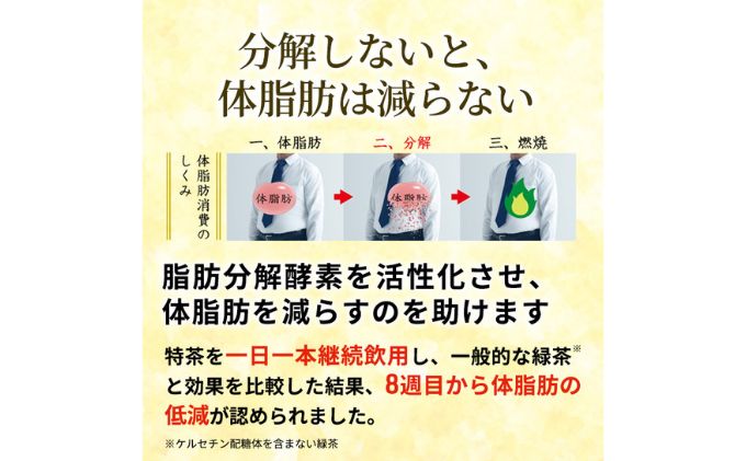 お茶 定期便 2ヶ月 伊右衛門 特茶 500ml × 24本 サントリー 特定保健用食品 トクホ 緑茶 ペットボトル 500 茶 日本茶 国産 トクホ茶 飲料 飲み物 ドリンク ペットボトル飲料 箱 ケース 脂肪 体脂肪 減らす 神奈川 神奈川県 綾瀬市 定期 2回　定期便