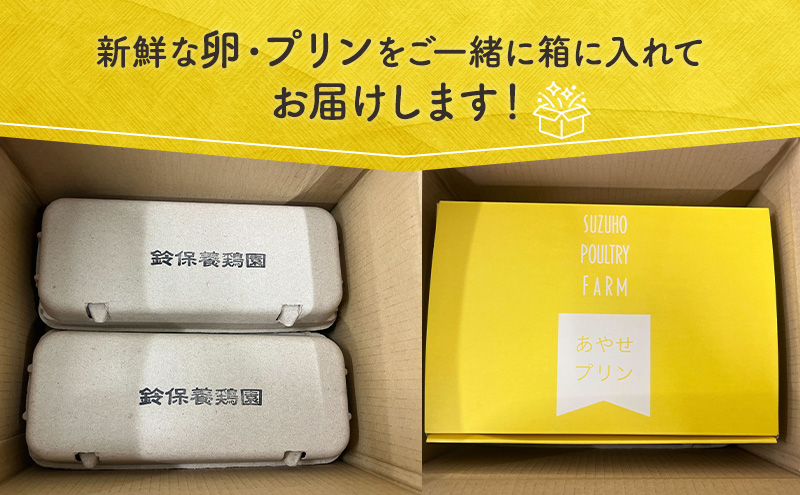 鈴保養鶏 うみたて 卵 たまごスイーツ セット