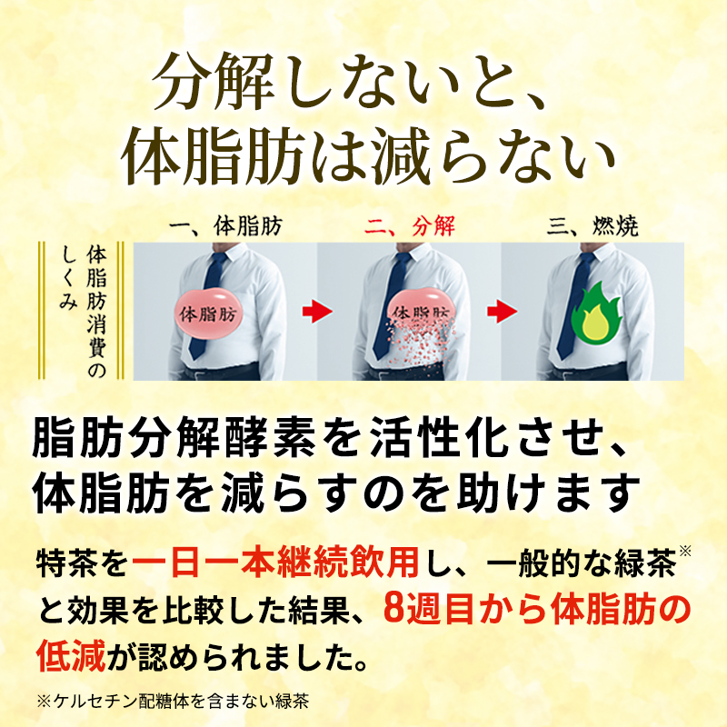 お茶 定期便 2ヶ月 伊右衛門 特茶 ジャスミン 500ml × 24本 サントリー 特定保健用食品 トクホ ジャスミン茶 ジャスミンティー ペットボトル 500 茶 トクホ茶 飲料 飲み物 ドリンク ペットボトル飲料 防災備蓄 脂肪 体脂肪 減らす 神奈川 定期 2回