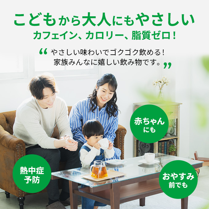 麦茶 定期便 3ヶ月 GREEN DA・KA・RA やさしい麦茶 2L × 12本(2ケース) サントリー ペットボトル 茶 お茶 飲料 飲み物 ドリンク 備蓄 常温 常温保存 カフェイン ゼロ カロリーゼロ 赤ちゃん 熱中症 熱中症対策 アレルギー DAKARA 定期 3回　定期便