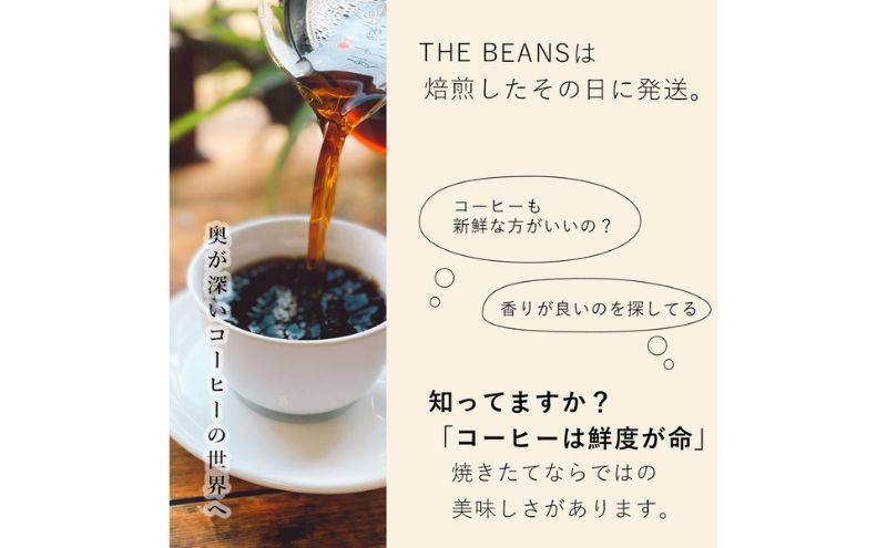 珈琲豆 マイルドブレンド（豆）400g the beans thebeans ザビーンズ