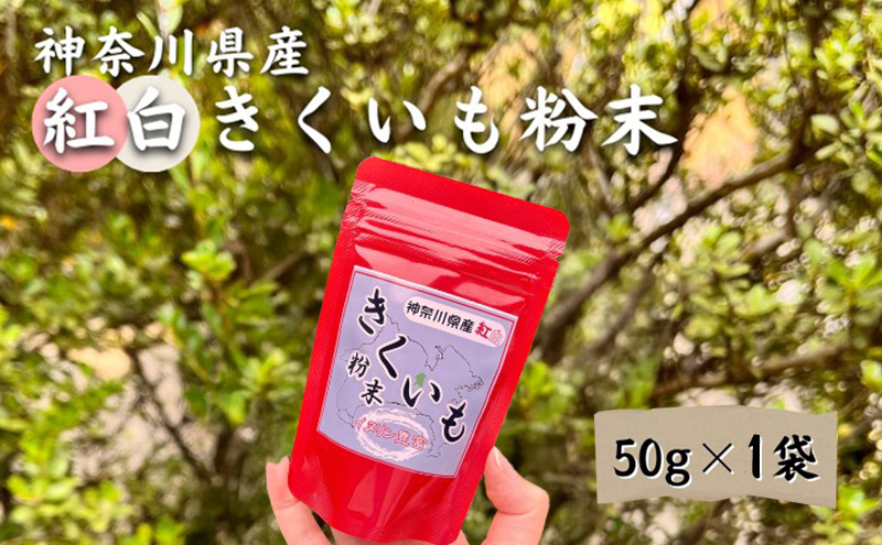 神奈川県綾瀬市産 紅白 きくいも 粉末 50g×1袋 健康食品 イヌリン ビフィズス菌 食物繊維 脂肪吸収 血糖値 菊芋 キクイモ 綾瀬市