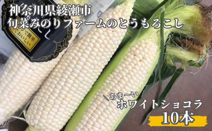 とうもろこし 旬菜みのりファーム あま～い ホワイトショコラ 10本