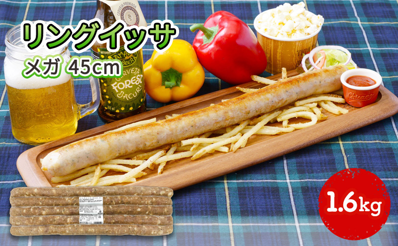 リングイッサ メガ 45cm 1.6kg