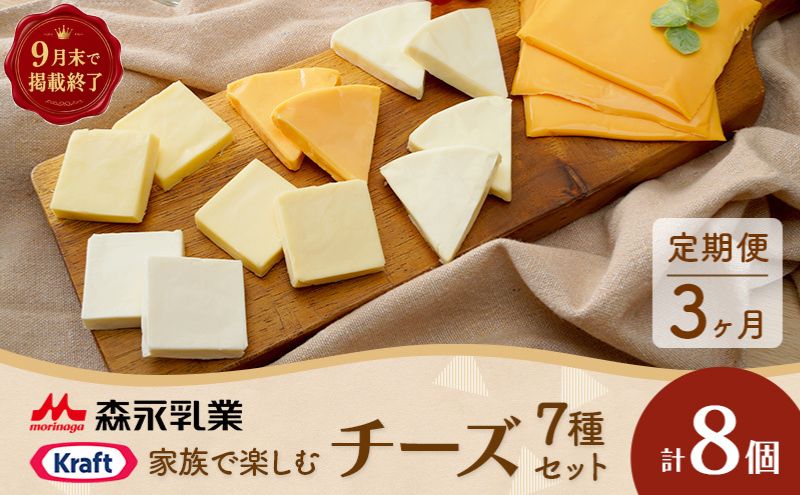【9月30日までの掲載】チーズセット 定期便 3ヶ月　家族で