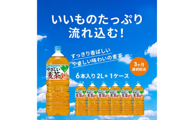 麦茶 定期便 3ヶ月 GREEN DA・KA・RA やさしい麦茶 2L × 6本 サントリー ペットボトル 茶 お茶 飲料 飲み物 ドリンク 備蓄 常温 常温保存 カフェイン ゼロ カロリーゼロ 大麦 赤ちゃん 熱中症 熱中症対策 アレルギー DAKARA 定期 3回　定期便